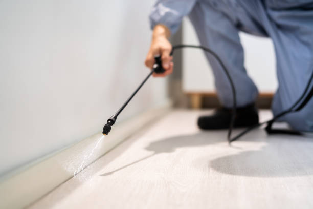Certified termite inspector examining foundation in Oak Harbor