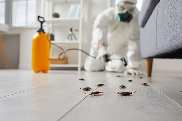 Commercial Rodent Management in Oak Harbor